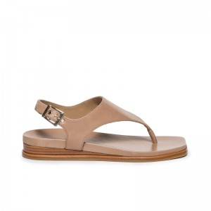 Bernardo Concord Thong Flate Sandaler Dame Lyse Brune | RWY8159NL