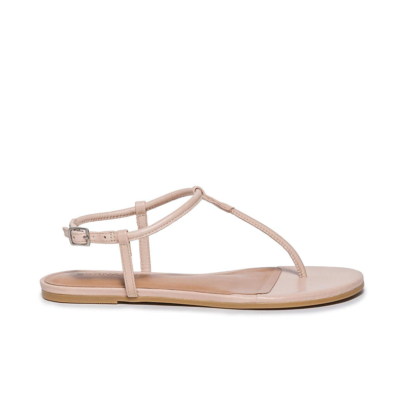 Bernardo Haven Thong Flate Sandaler Dame Rosa | ORM4647UR