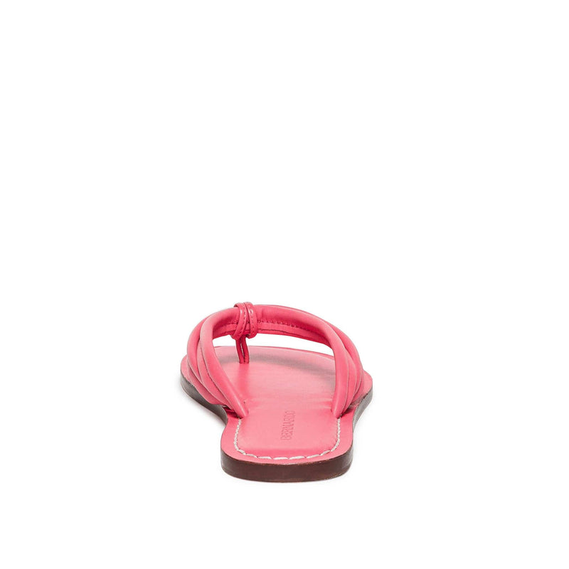 Bernardo Miami Thong Slidesandaler Dame Rosa | OBF395EQ