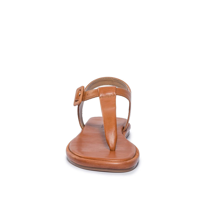 Bernardo Tucson T-Strap Flate Sandaler Dame Mørke Brune | DNO9738FF