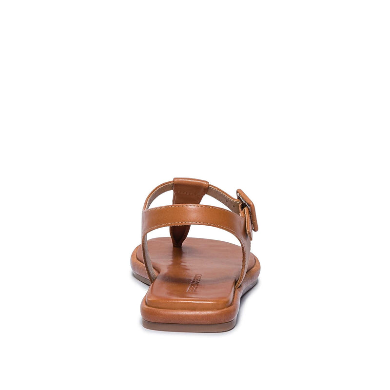 Bernardo Tucson T-Strap Flate Sandaler Dame Mørke Brune | DNO9738FF